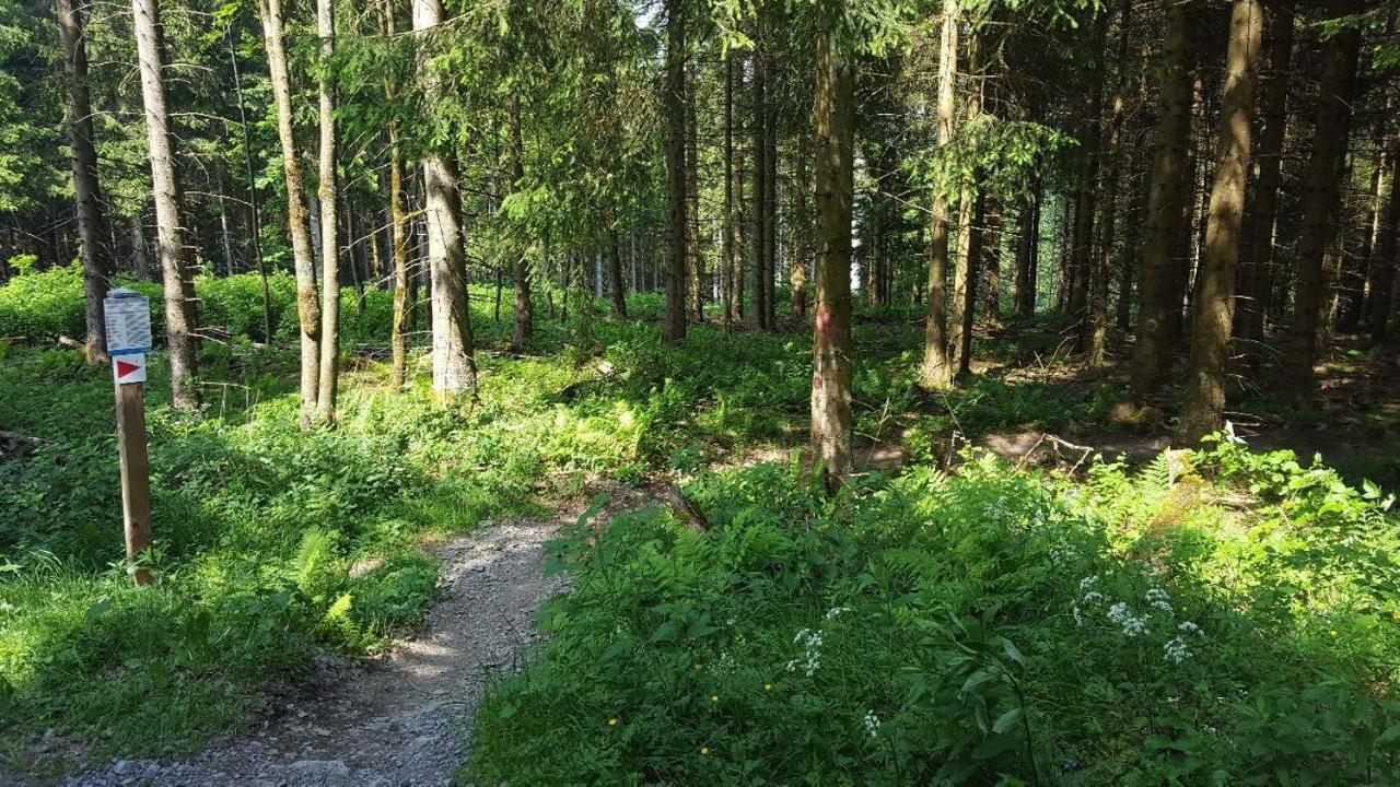 Ferienwohnung Little Home In Winterberg-Neuastenberg Екстер'єр фото
